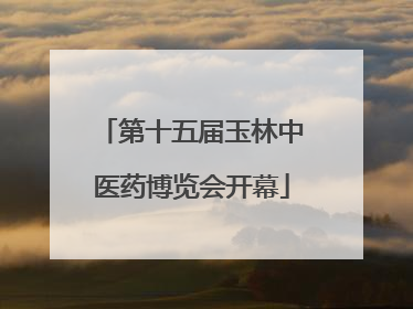 第十五届玉林中医药博览会开幕