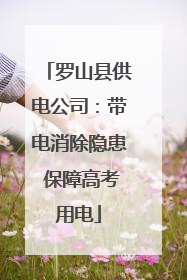 罗山县供电公司：带电消除隐患 保障高考用电
