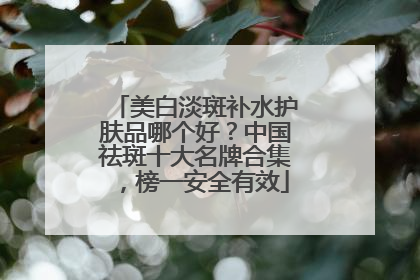 美白淡斑补水护肤品哪个好？中国祛斑十大名牌合集，榜一安全有效