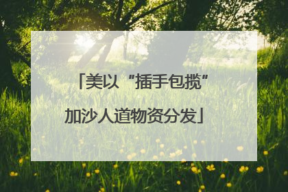 美以“插手包揽”加沙人道物资分发
