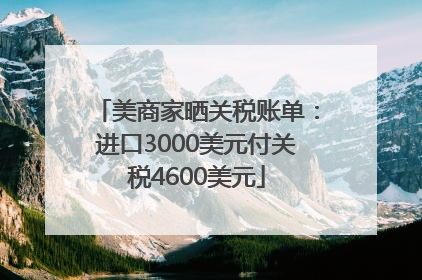 美商家晒关税账单：进口3000美元付关税4600美元