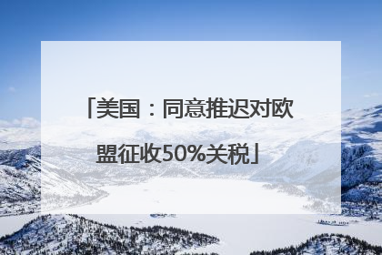 美国：同意推迟对欧盟征收50%关税