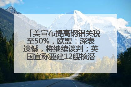 美宣布提高钢铝关税至50%，欧盟：深表遗憾，将继续谈判；英国宣称要建12艘核潜艇；马斯克最新发声：不想为美政府所做的一切承担责任丨早报
