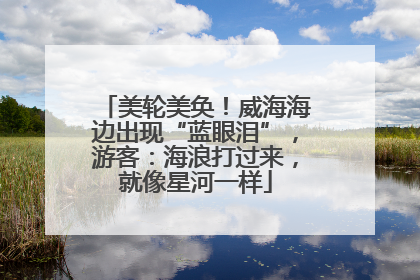 美轮美奂！威海海边出现“蓝眼泪”，游客：海浪打过来，就像星河一样