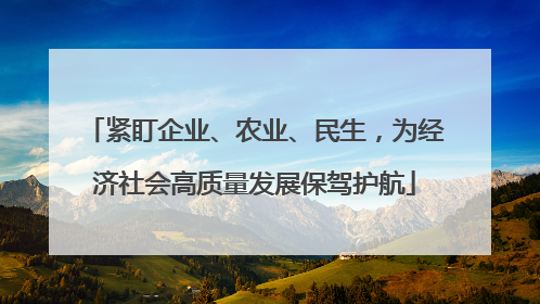 紧盯企业、农业、民生，为经济社会高质量发展保驾护航