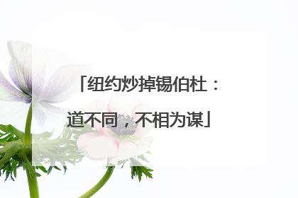 纽约炒掉锡伯杜：道不同，不相为谋