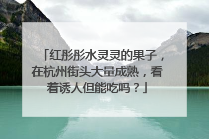 红彤彤水灵灵的果子，在杭州街头大量成熟，看着诱人但能吃吗？