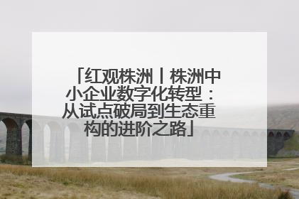 红观株洲丨株洲中小企业数字化转型：从试点破局到生态重构的进阶之路