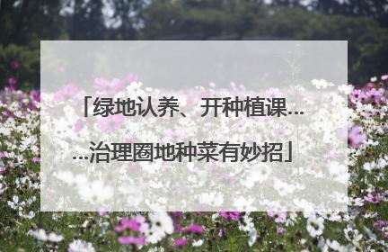 绿地认养、开种植课……治理圈地种菜有妙招