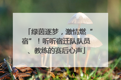 绿茵逐梦，激情燃“宿”！听听宿迁队队员、教练的赛后心声