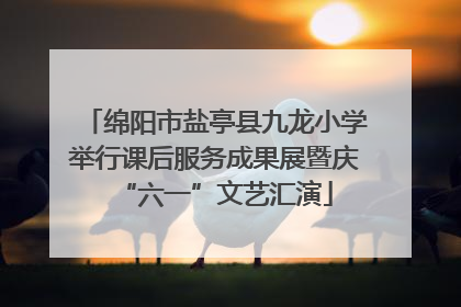 绵阳市盐亭县九龙小学举行课后服务成果展暨庆“六一”文艺汇演