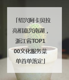 绍兴阿卡贝拉亮相嘉兴南湖，浙江省TOP100文化服务菜单首单落定