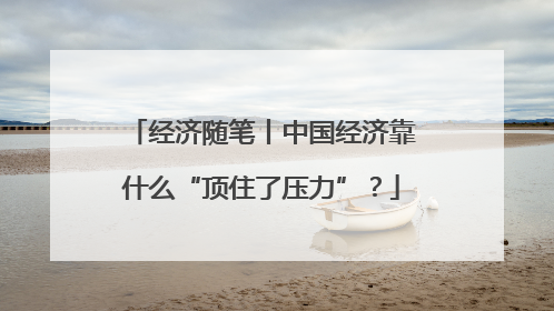 经济随笔丨中国经济靠什么“顶住了压力”？