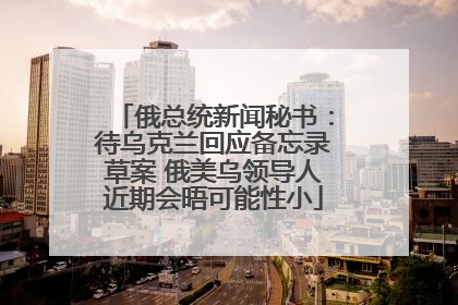 俄总统新闻秘书：待乌克兰回应备忘录草案 俄美乌领导人近期会晤可能性小