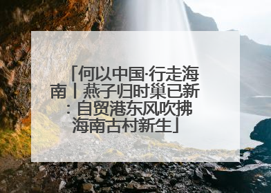何以中国·行走海南丨燕子归时巢已新：自贸港东风吹拂 海南古村新生