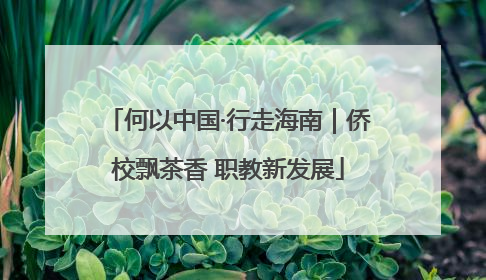 何以中国·行走海南｜侨校飘茶香 职教新发展
