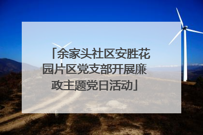 余家头社区安胜花园片区党支部开展廉政主题党日活动