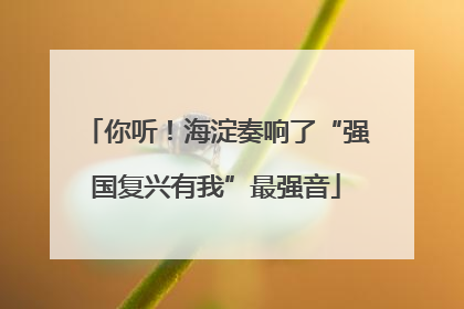你听！海淀奏响了“强国复兴有我”最强音