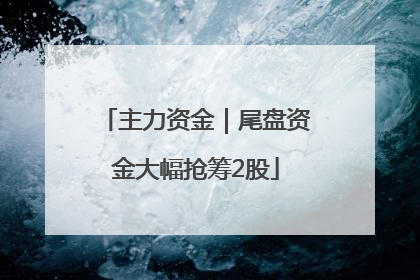 主力资金｜尾盘资金大幅抢筹2股
