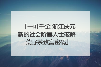 一叶千金 浙江庆元新的社会阶层人士破解荒野茶致富密码