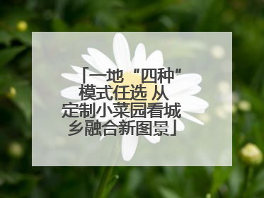 一地“四种” 模式任选 从定制小菜园看城乡融合新图景