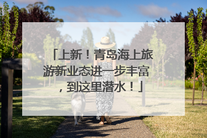 上新！青岛海上旅游新业态进一步丰富，到这里潜水！