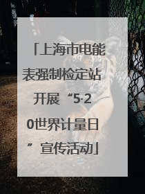 上海市电能表强制检定站开展“5·20世界计量日”宣传活动