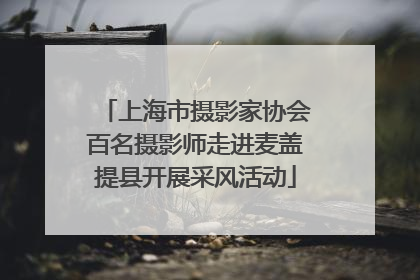 上海市摄影家协会百名摄影师走进麦盖提县开展采风活动