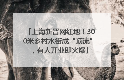上海新晋网红地！300米乡村水街成“顶流”，有人开业即火爆