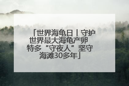 世界海龟日丨守护世界最大海龟产卵 特多“守夜人”坚守海滩30多年