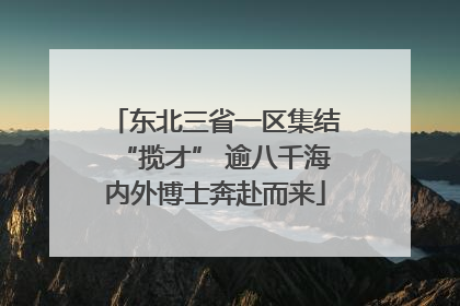 东北三省一区集结“揽才” 逾八千海内外博士奔赴而来