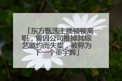东方甄选主播顿顿离职，曾因公司推掉其综艺邀约而失望，被称为下一个董宇辉