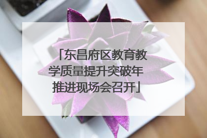 东昌府区教育教学质量提升突破年推进现场会召开