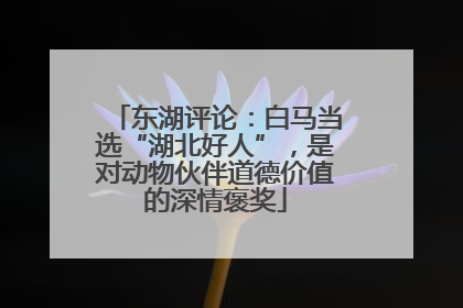 东湖评论：白马当选“湖北好人”，是对动物伙伴道德价值的深情褒奖