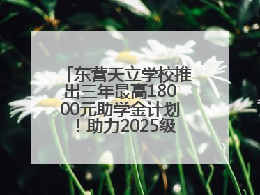 东营天立学校推出三年最高18000元助学金计划！助力2025级新生扬帆起航