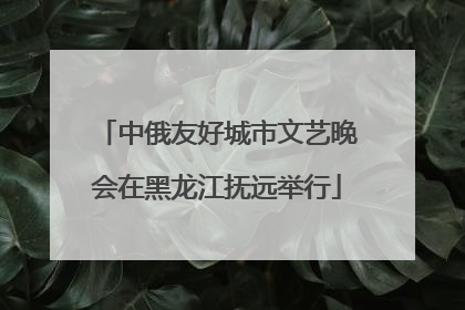 中俄友好城市文艺晚会在黑龙江抚远举行