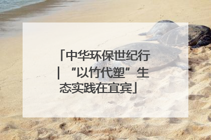 中华环保世纪行｜“以竹代塑”生态实践在宜宾