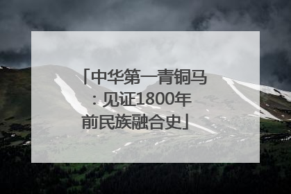 中华第一青铜马：见证1800年前民族融合史