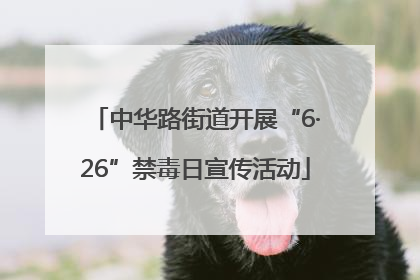 中华路街道开展“6·26”禁毒日宣传活动