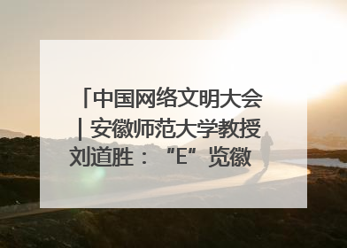 中国网络文明大会｜安徽师范大学教授刘道胜：“E”览徽风，构筑中华民族共有精神家园