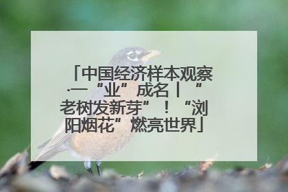 中国经济样本观察·一“业”成名丨“老树发新芽”！“浏阳烟花”燃亮世界