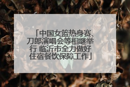 中国女篮热身赛、刀郎演唱会等相继举行 临沂市全力做好住宿餐饮保障工作