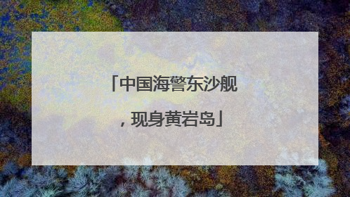 中国海警东沙舰，现身黄岩岛