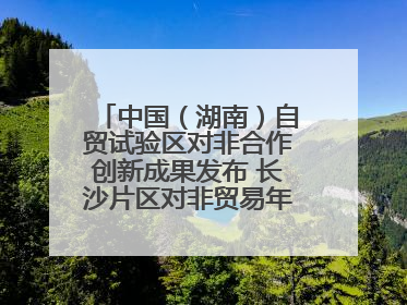 中国（湖南）自贸试验区对非合作创新成果发布 长沙片区对非贸易年均增长141%