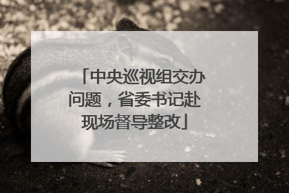 中央巡视组交办问题，省委书记赴现场督导整改