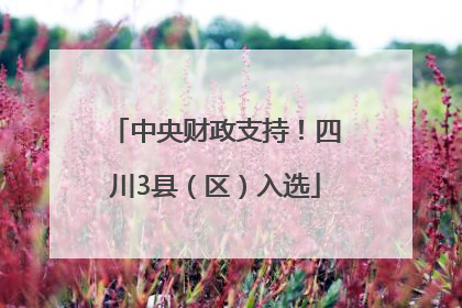 中央财政支持！四川3县（区）入选