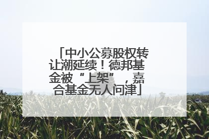 中小公募股权转让潮延续！德邦基金被“上架”，嘉合基金无人问津