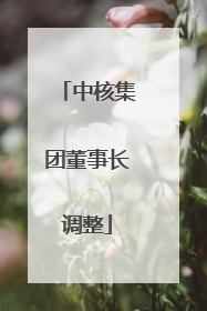 中核集团董事长调整