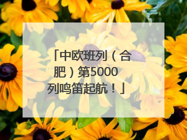 中欧班列（合肥）第5000列鸣笛起航！