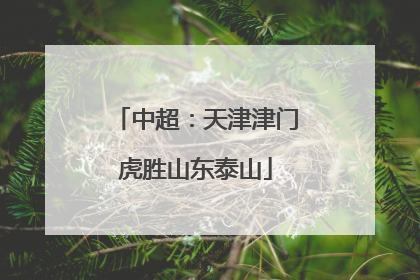 中超：天津津门虎胜山东泰山
